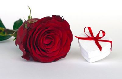 Non smetter� mai di amarti