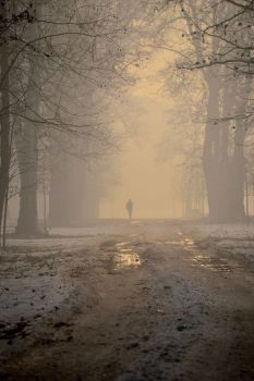 Il suono del silenzio