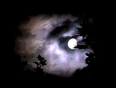 La tenerezza della notte