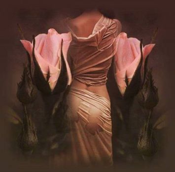 Rosa della mia notte