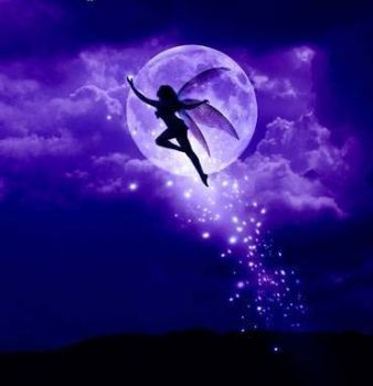 Sulla scia di una stella