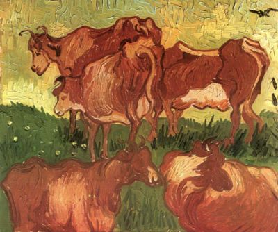 Al pascolo le vacche givano