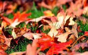 Autunno