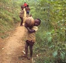 Sotto i cieli d'Africa