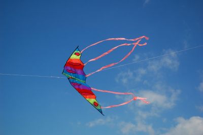 I poeti vivono di passioni