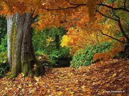 Forse l�autunno � dietro l�angolo