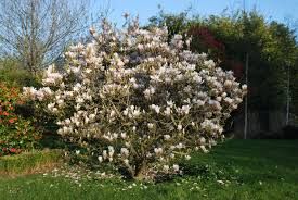 Dall’ultima eterna estate