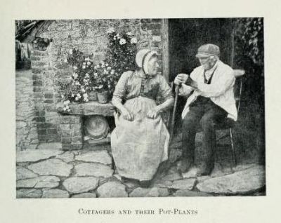 Nell’ultima stagione