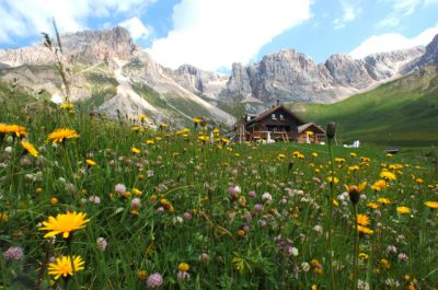 Nell’armonia della natura