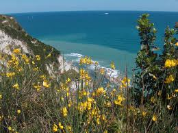 Riverberi di pensiero