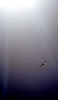 Oltre l'azzurro del mare