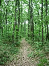 Ai margini della città