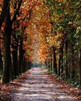 Nella semioscurità della sera