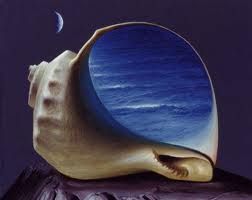 Sar� la tua conchiglia