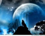 Il lupo e la luna