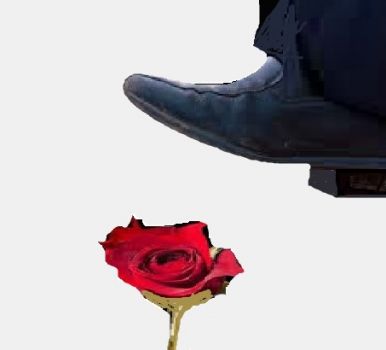 Non calpestare quei fiori