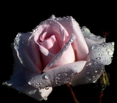 Per anni ho elemosinato amore