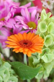 Fra il mio essere imperfetto e i sorrisi veritieri