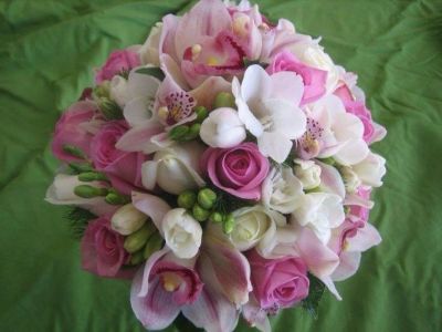 Nei fiori di magnolie