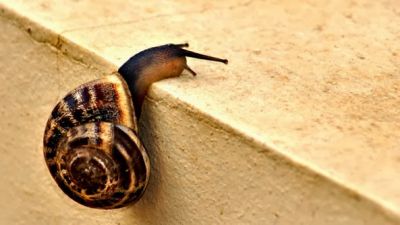 Provare sempre provare