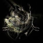 L� alma in agitamento sfugge