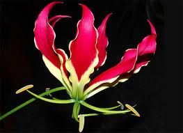 La magia pi� grande