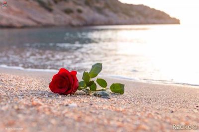 Il tuo viso tra le ciglia