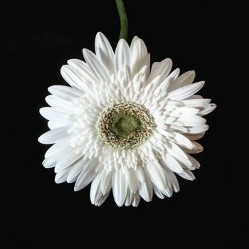 Per sempre nel ricordo