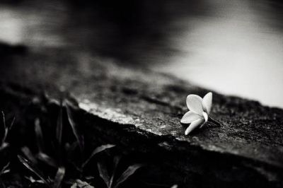 Nel buio della notte