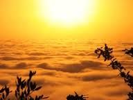 Vorrei ancora invano