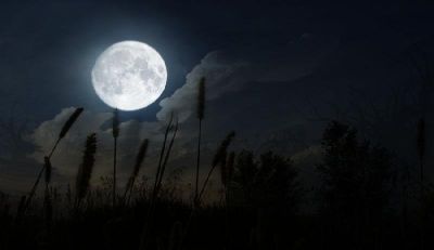 The shapes of the moon