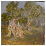 E' cambiato il vento