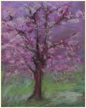 Domani � primavera