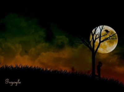 Ai confini dell'amore