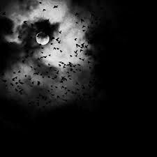 Nulla � come prima