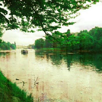 Kuma (in giapponese vuol dire orso)