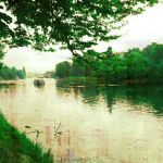 Kuma (in giapponese vuol dire orso)