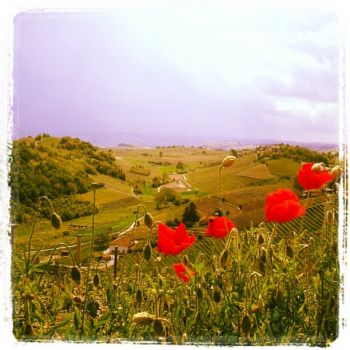 Quant'era bello e quant'era primavera