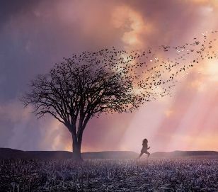 Questa � la mia poesia... una storia vera... di Luna