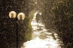 Non tutto �...cos�