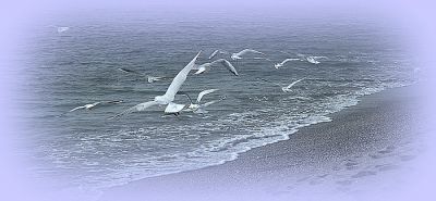 E cos� accarezzai il vento