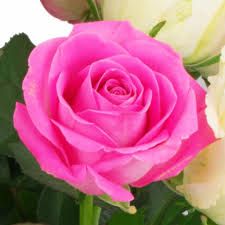 L�esilio da Firenze