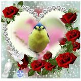 Aspettando il domani