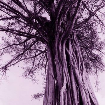 Pensieri tra le nuvole