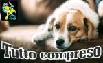 Tutto compreso