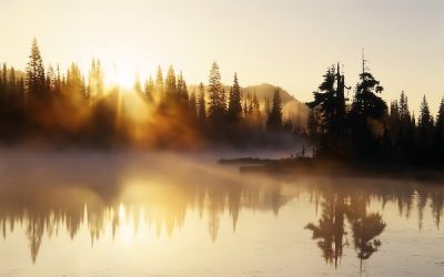 E il sole sorge ancora