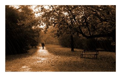 La gustosa fragranza del Ritorno