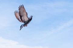 Trattieni quell�attimo