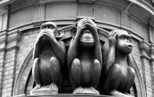 Anch�io vi ringrazio... anch�io so rispondere