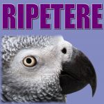 Ma che d'� sta rutin?